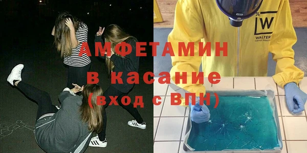 гашик Алексин